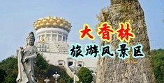 抽插小嫩穴的视频中国浙江-绍兴大香林旅游风景区